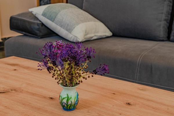 Accommodation Crikvenica