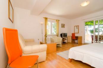 Apartments Plavac Mali-Comfort One Bedroom Apartment with Terrace and Sea View